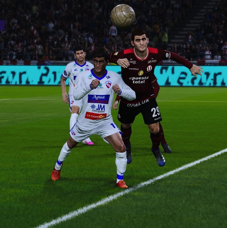 Super Option File de Liga Peruana 2024